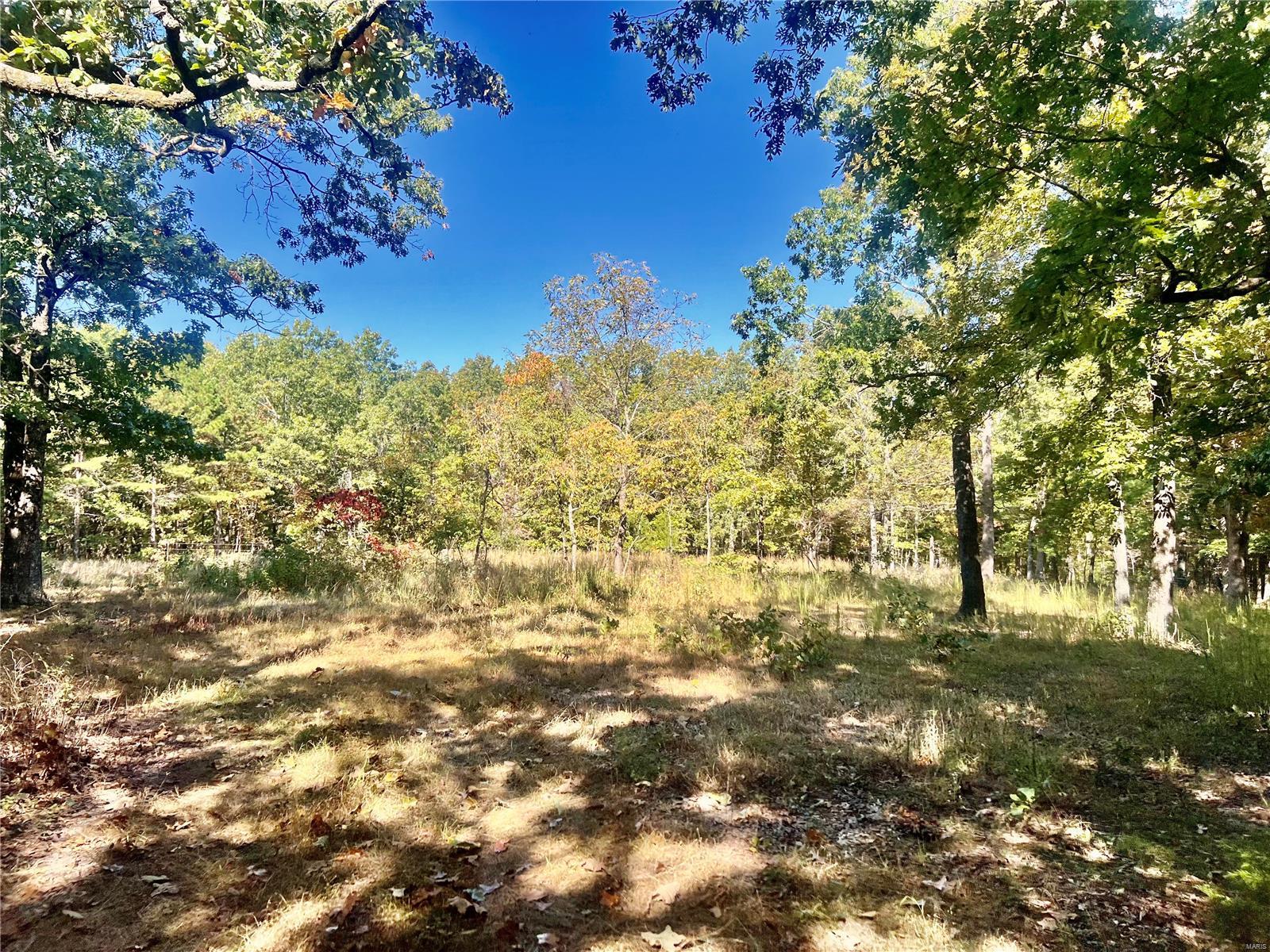 0 Bell Road Success, MO 65570 - Photo 36 of 37