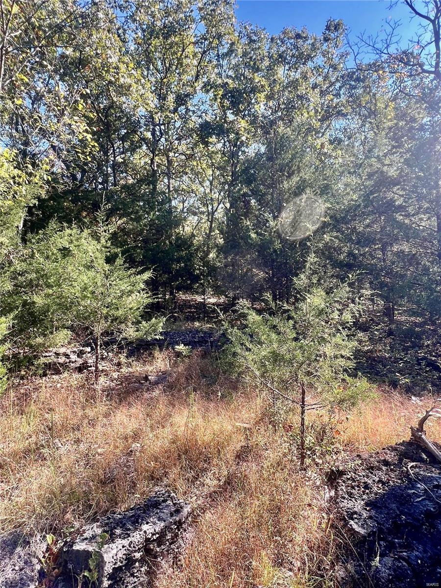 0 Bell Road Success, MO 65570 - Photo 37 of 37