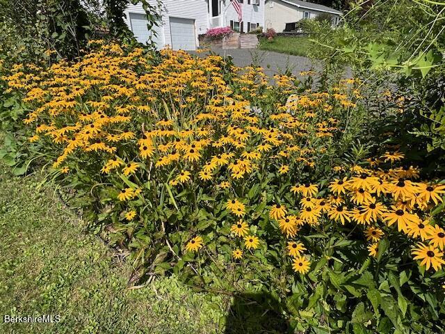 215 Partridge Road Pittsfield, MA 01201 - Photo 4 of 38 7