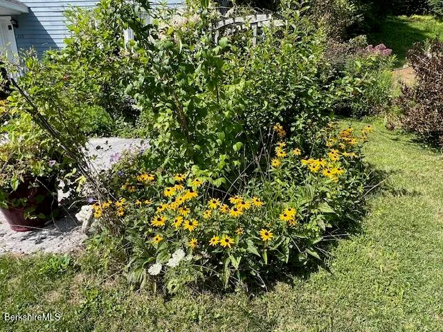 front view of a house