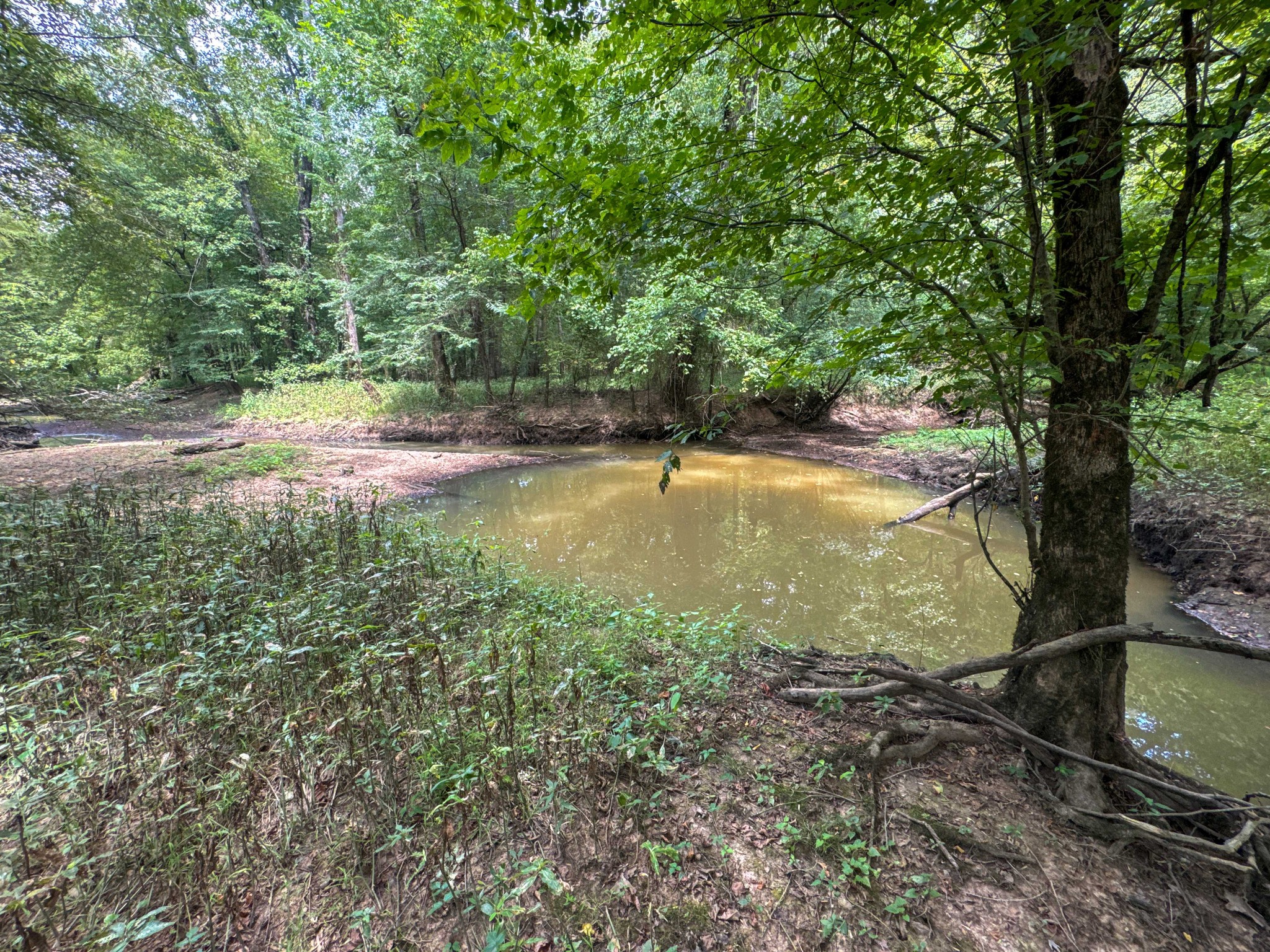 0 Tom Baker Road Clifton, TN 38425 - Photo 11 of 47 Gallery Image 11