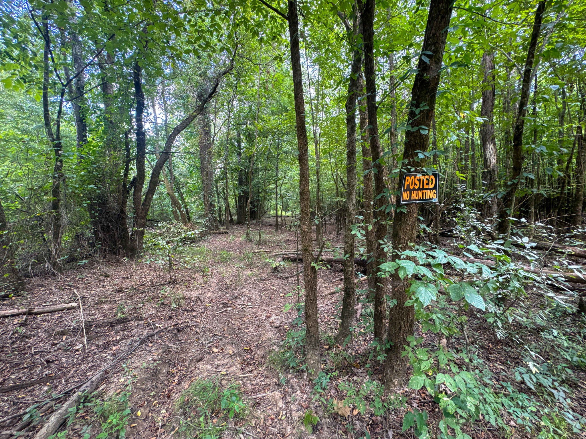 0 Tom Baker Road Clifton, TN 38425 - Photo 12 of 47 Gallery Image 12