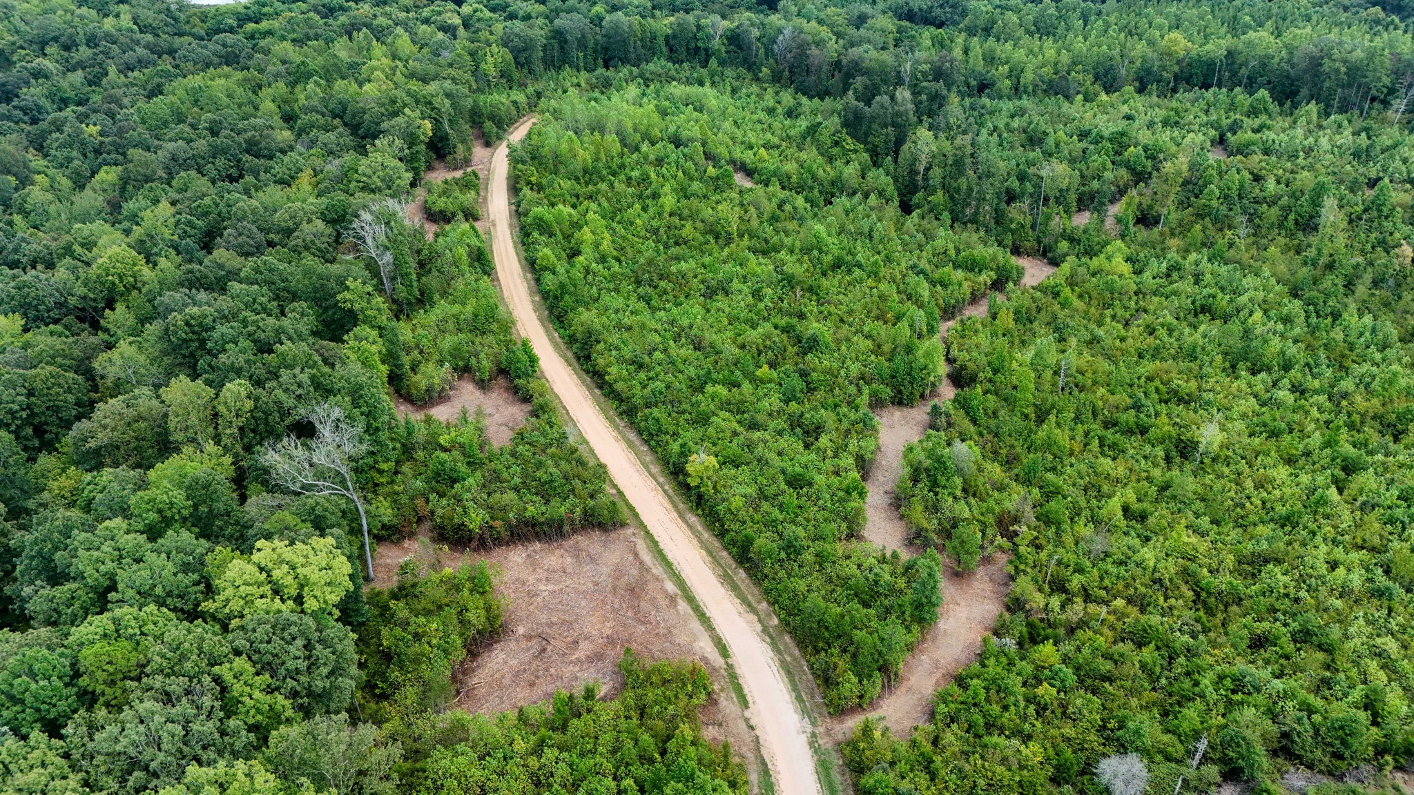 0 Tom Baker Road Clifton, TN 38425 - Photo 16 of 47 Gallery Image 16