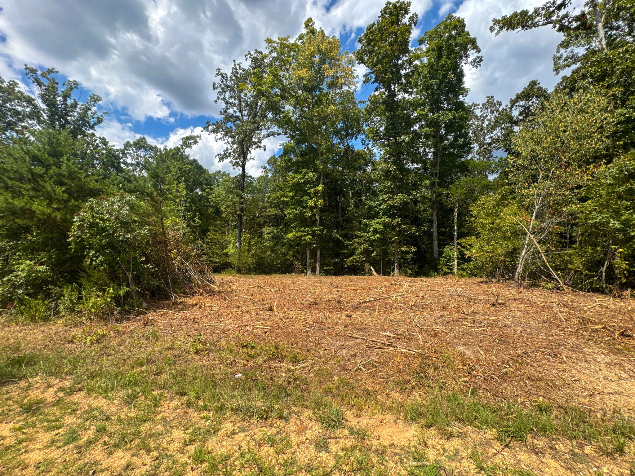 0 Tom Baker Road Clifton, TN 38425 - Photo 3 of 47 Gallery Image 3