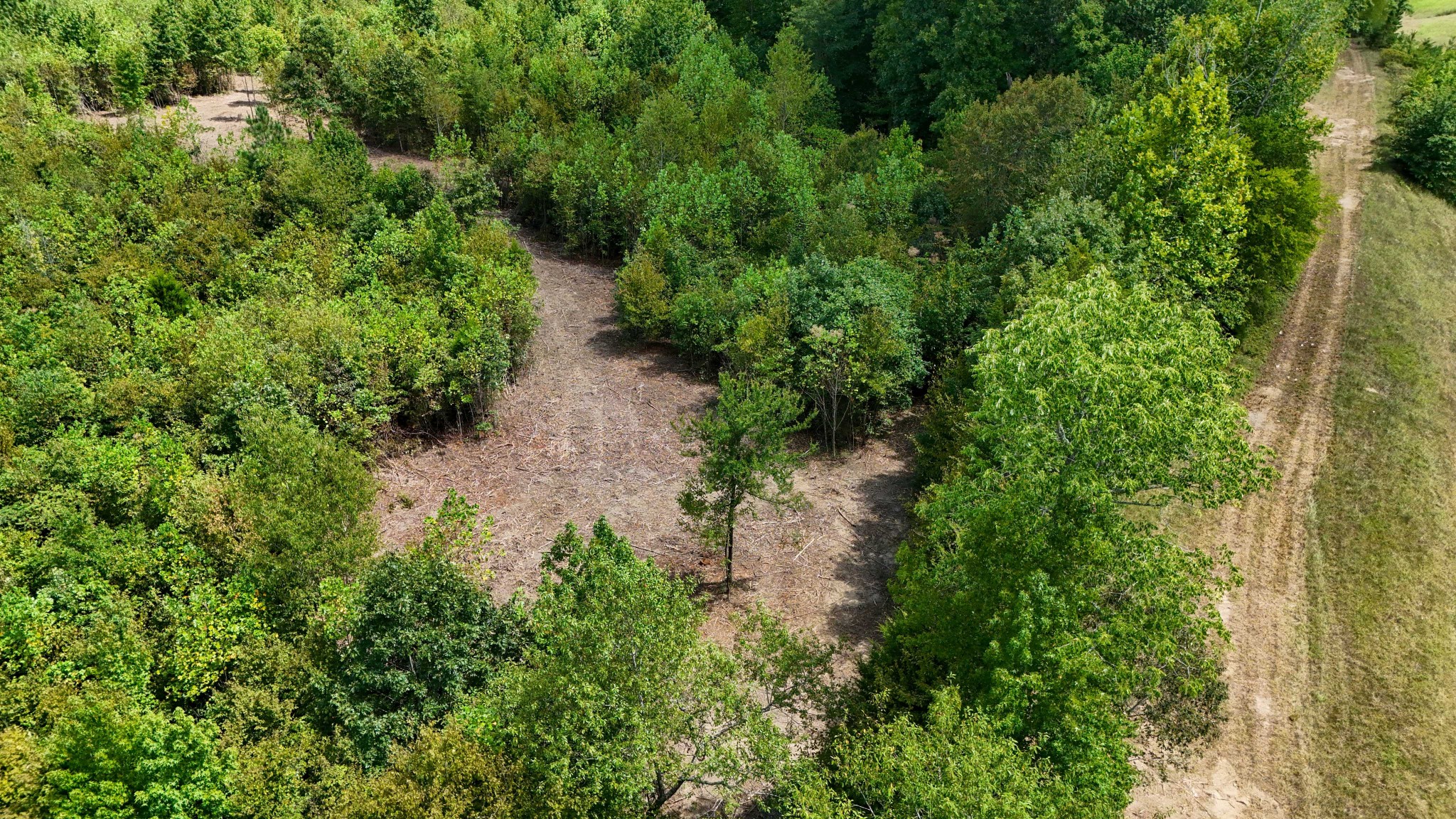 0 Tom Baker Road Clifton, TN 38425 - Photo 32 of 47 Gallery Image 32