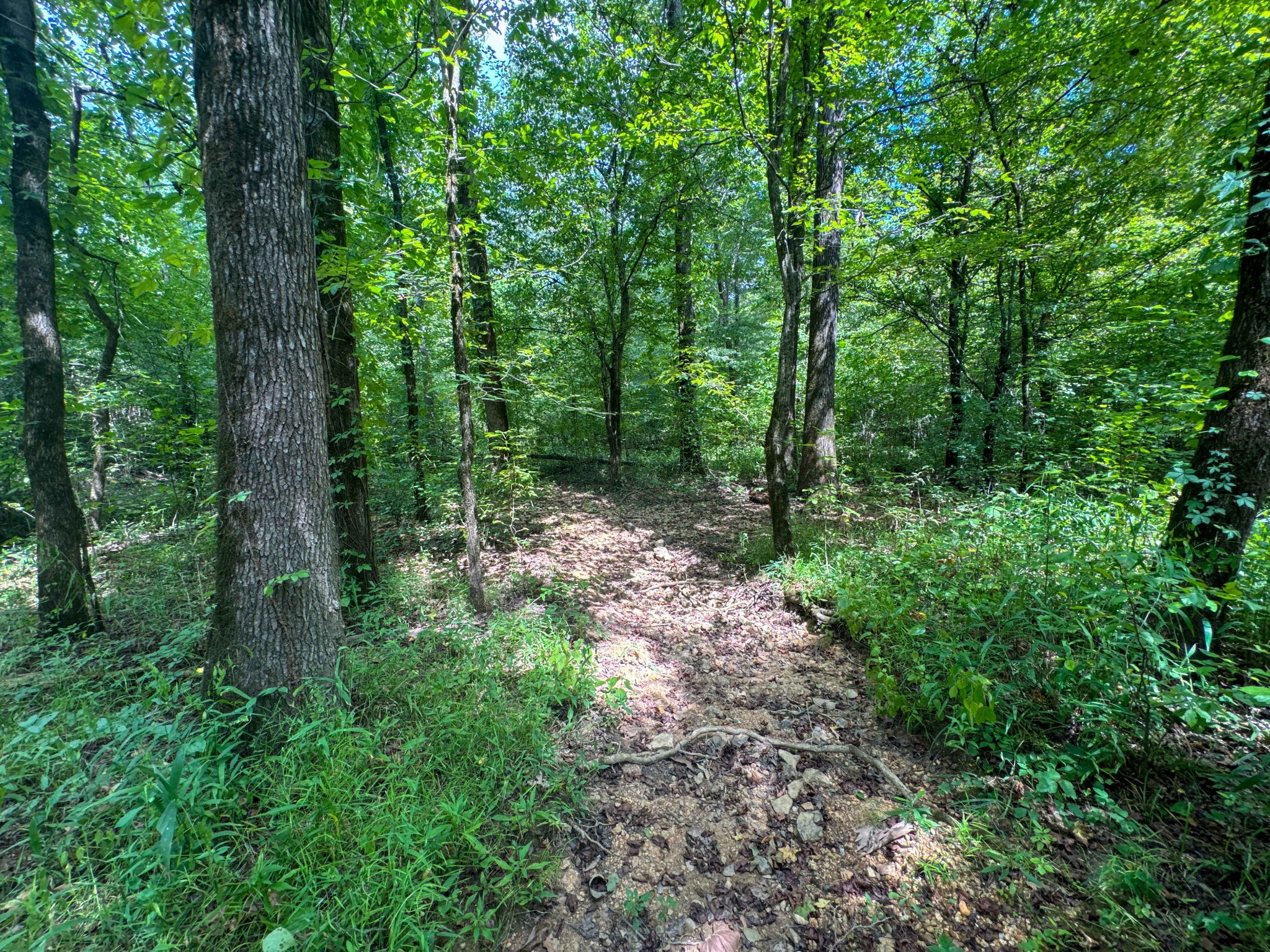 0 Tom Baker Road Clifton, TN 38425 - Photo 35 of 47 Gallery Image 35