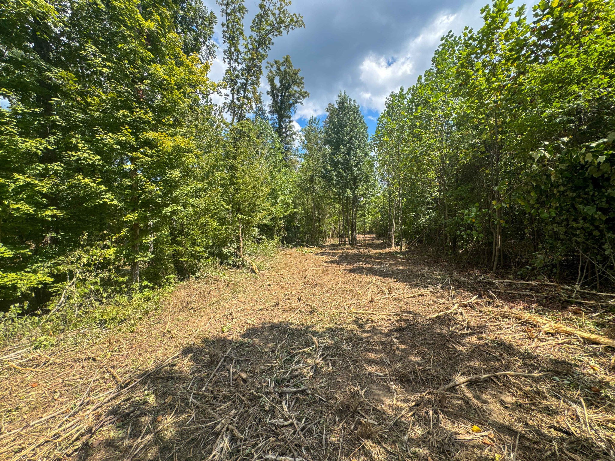 0 Tom Baker Road Clifton, TN 38425 - Photo 4 of 47 Gallery Image 4