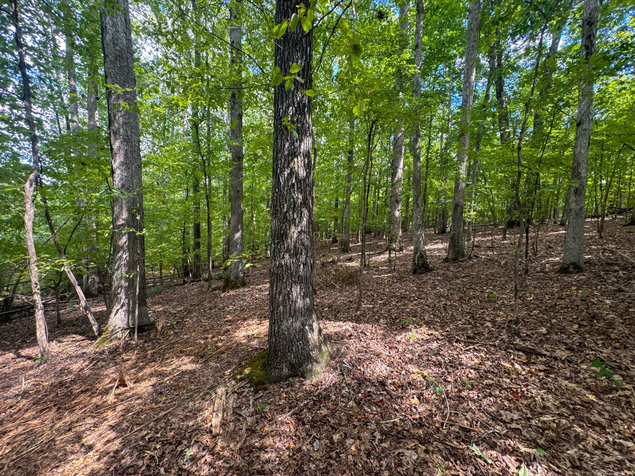 0 Tom Baker Road Clifton, TN 38425 - Photo 41 of 47 Gallery Image 41