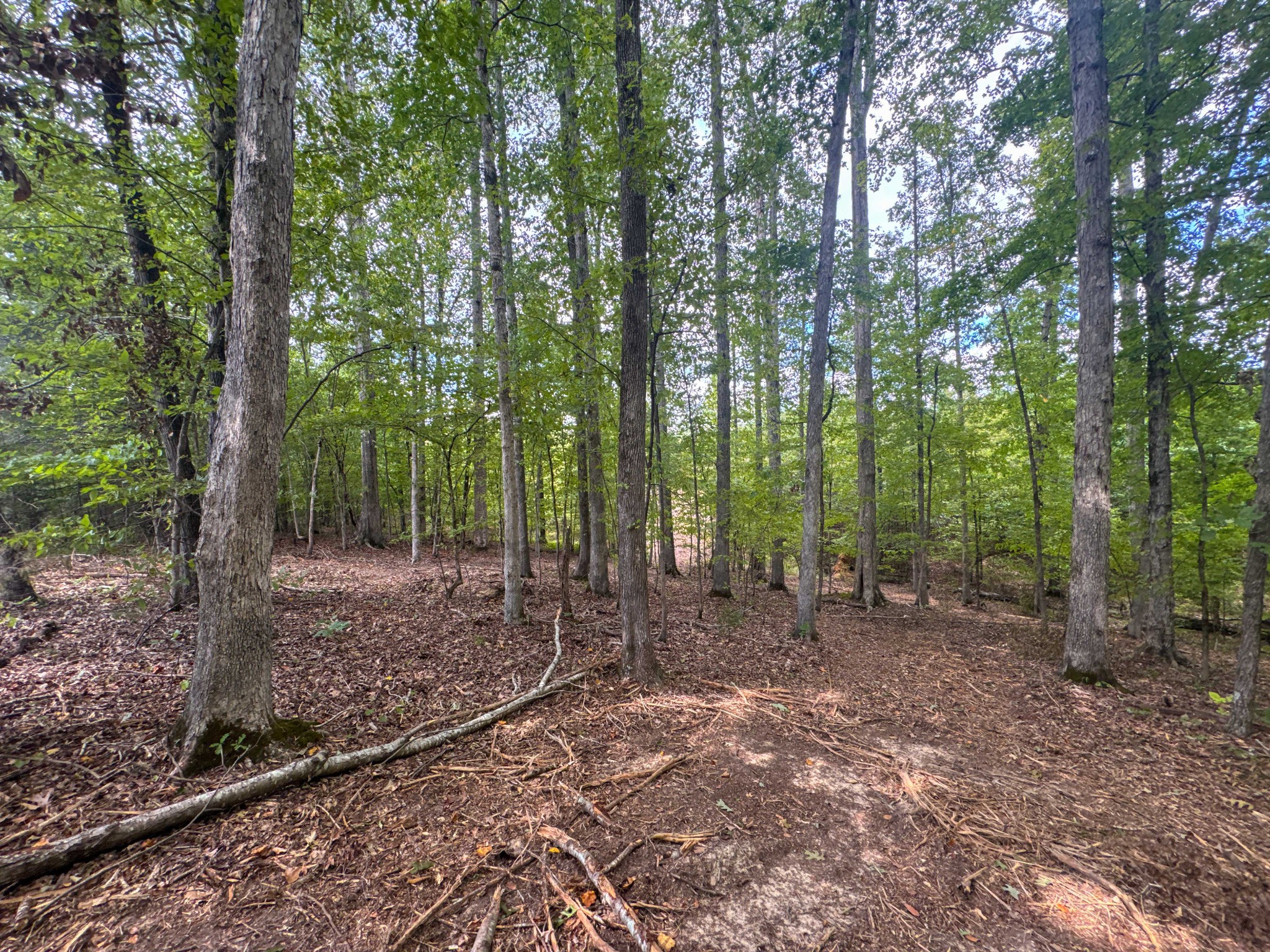 0 Tom Baker Road Clifton, TN 38425 - Photo 42 of 47 Gallery Image 42