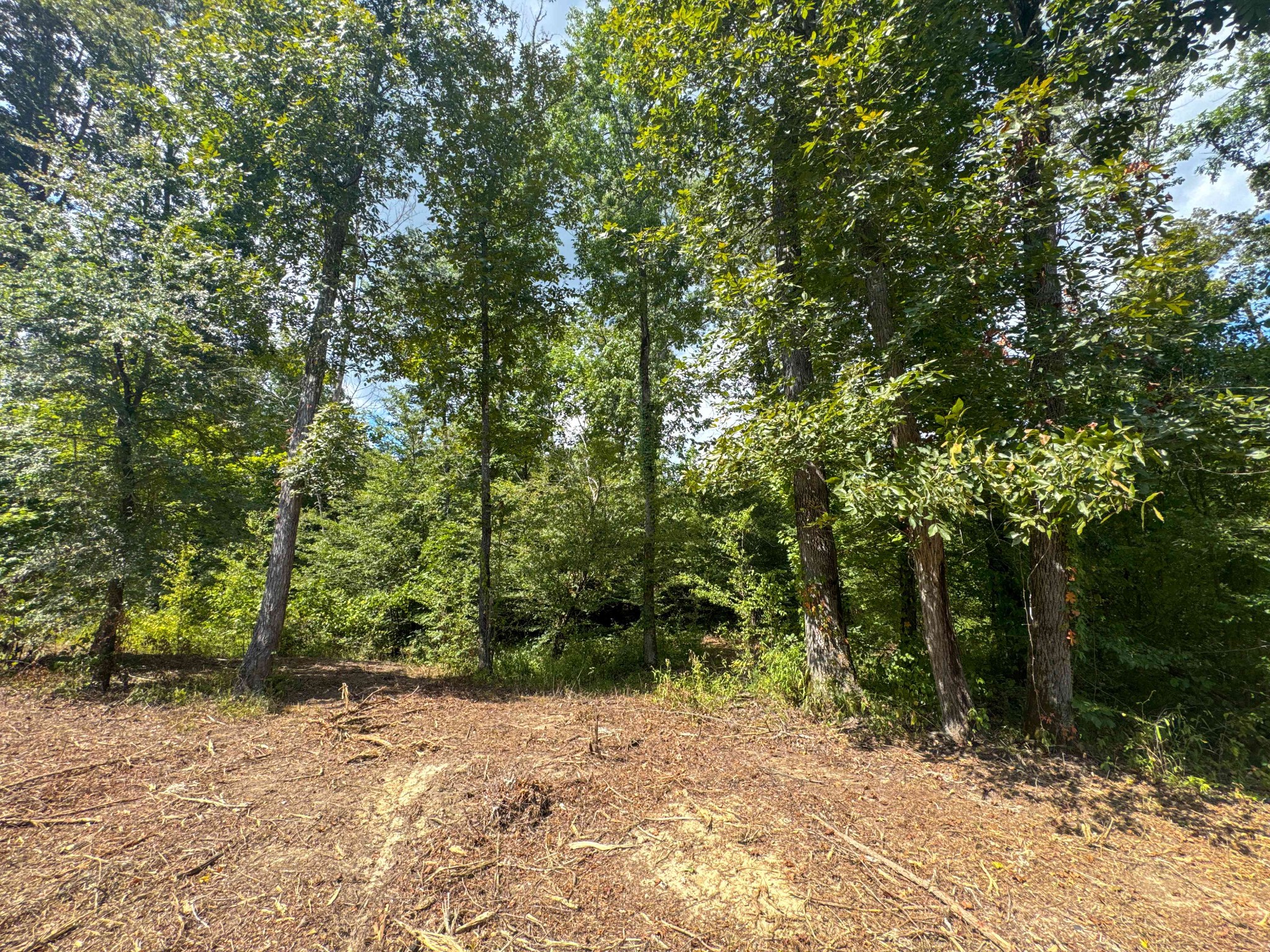 0 Tom Baker Road Clifton, TN 38425 - Photo 45 of 47 Gallery Image 45