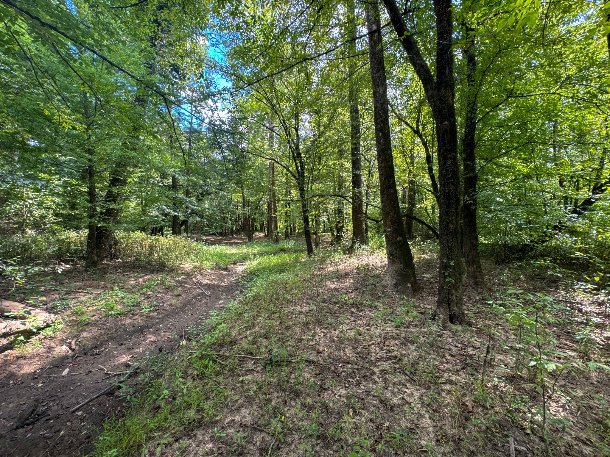 0 Tom Baker Road Clifton, TN 38425 - Photo 47 of 47 Gallery Image 47