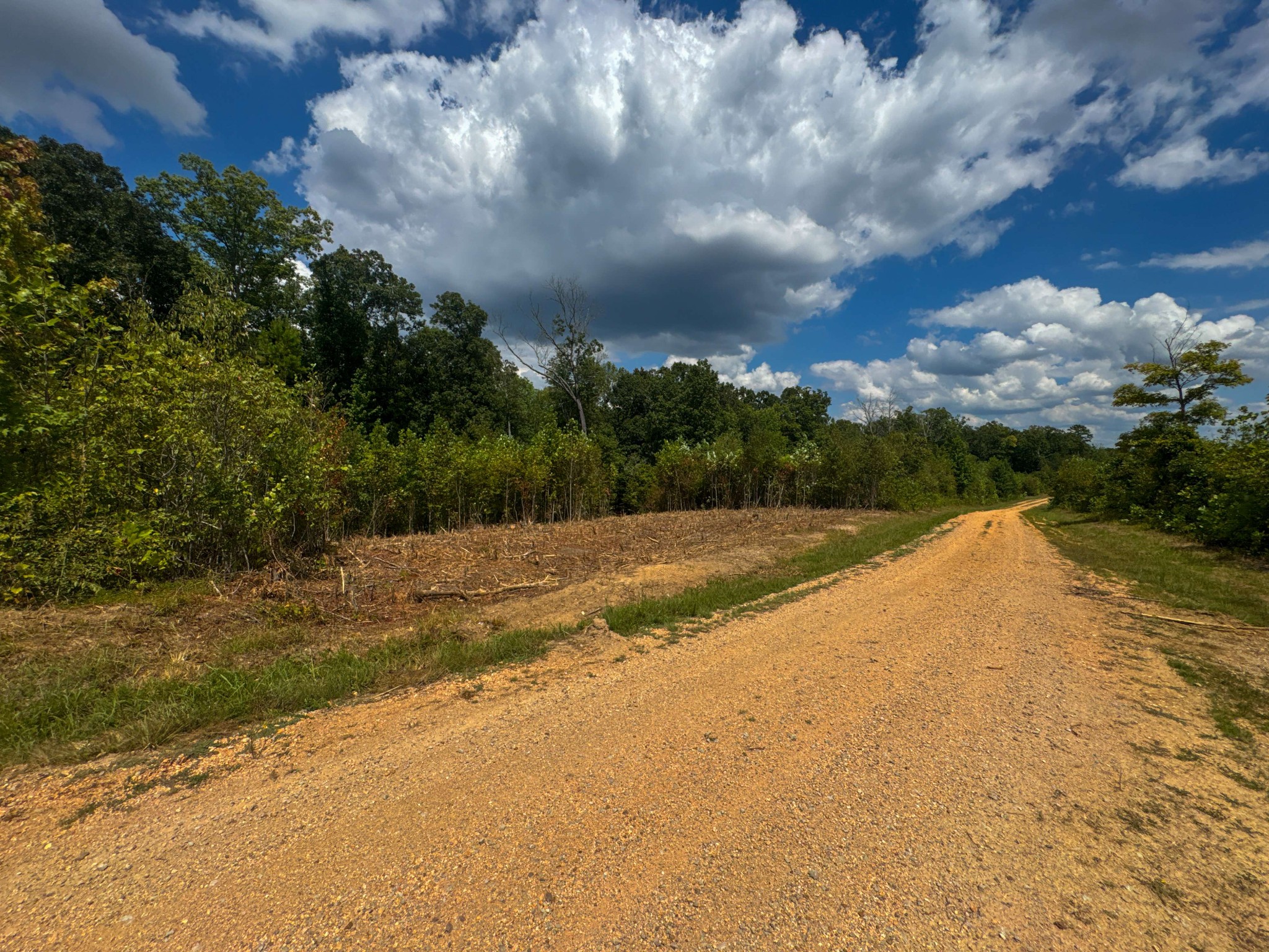 0 Tom Baker Road Clifton, TN 38425 - Photo 8 of 47 Gallery Image 8