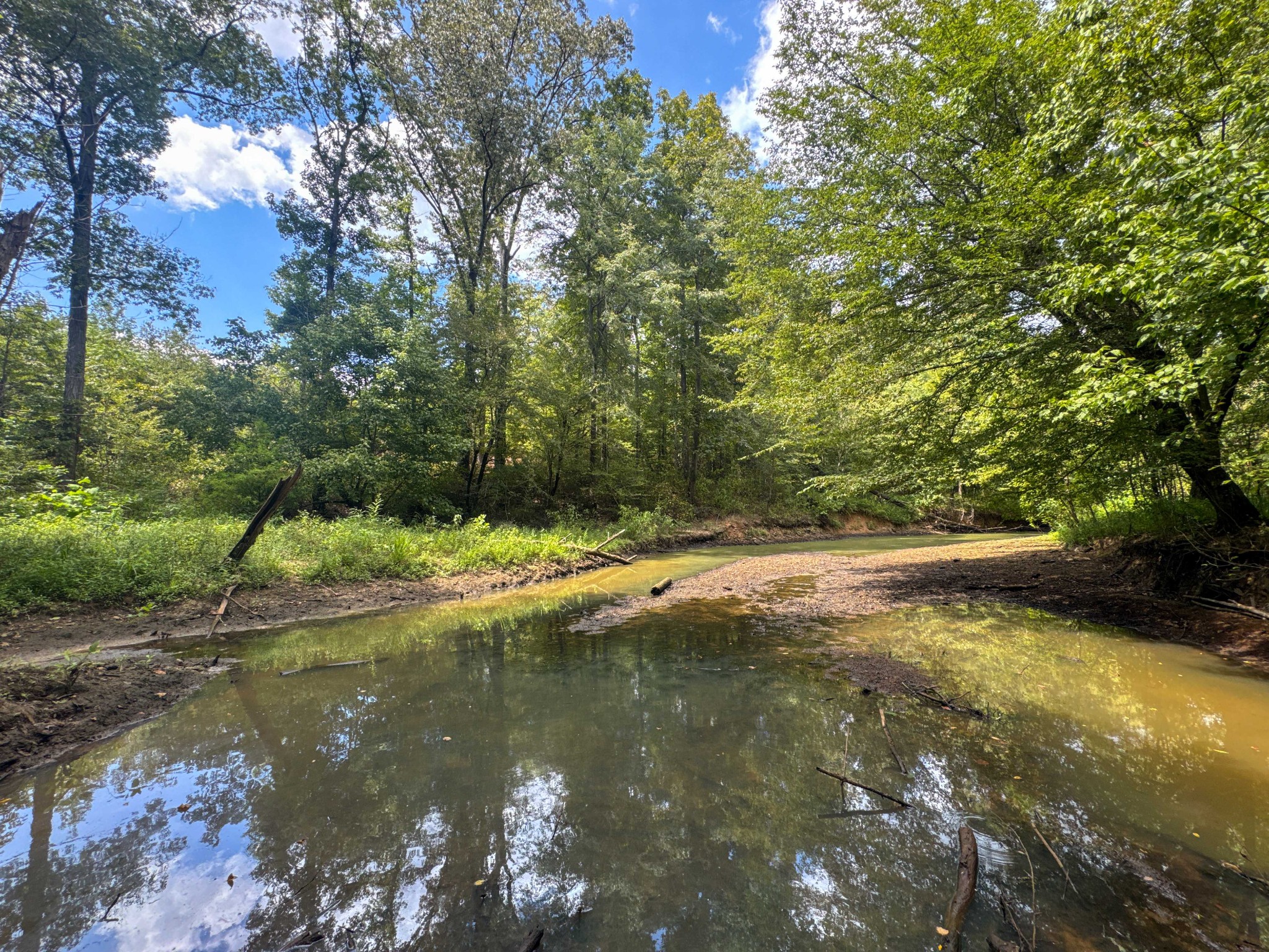 0 Tom Baker Road Clifton, TN 38425 - Photo 10 of 47 Gallery Image 10
