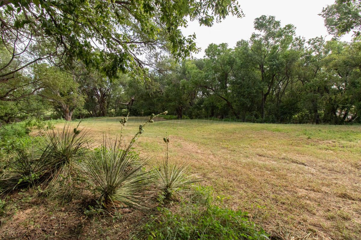 21401 Hope Road Canyon, TX 79015 - Photo 95 of 112 21401_Hope_Rd_025_Pasture