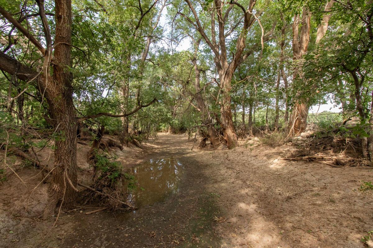 21401 Hope Road Canyon, TX 79015 - Photo 97 of 112 21401_Hope_Rd_027_Creek