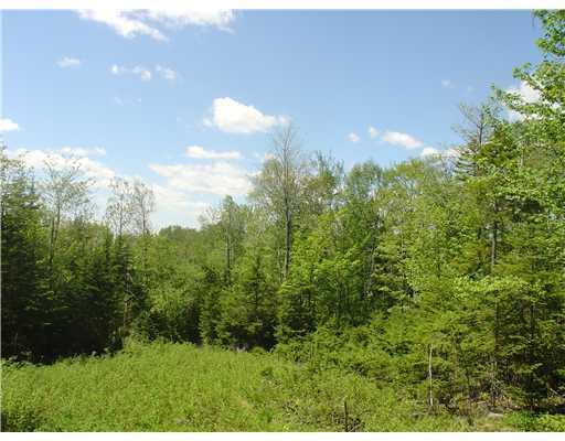Lot 6 Mill Brook Road Rangeley, ME 04970 - Photo 5 of 7 Land/Lot. View from building envelope.