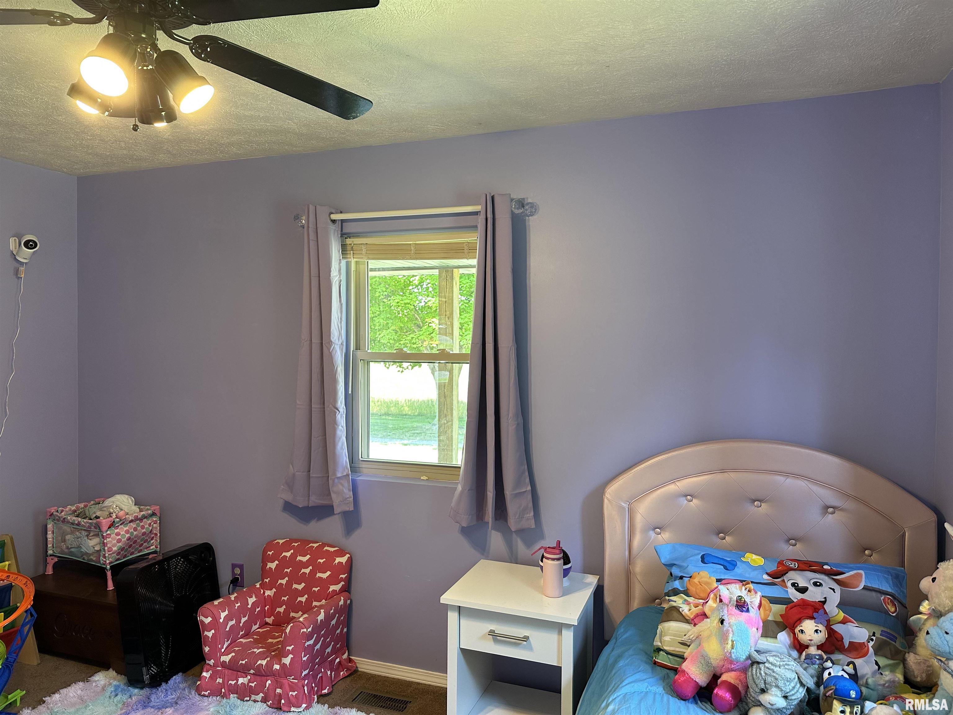 1514 Water Plant Road Murphysboro, IL 62966 - Photo 19 of 80