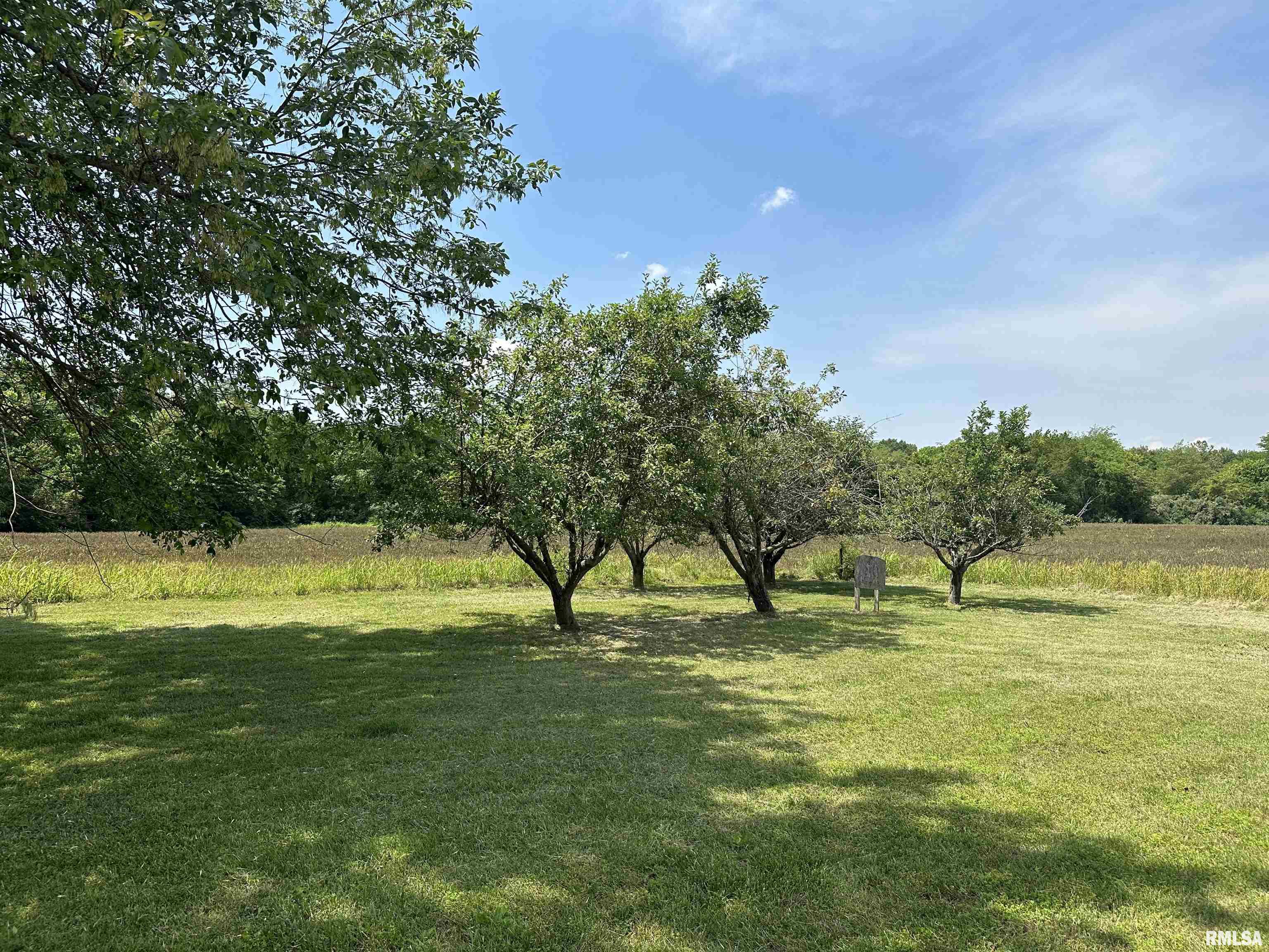 1514 Water Plant Road Murphysboro, IL 62966 - Photo 54 of 80