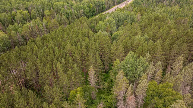 $59,900 | 21 Babbitt Mn 55706, Babbitt, MN 55706