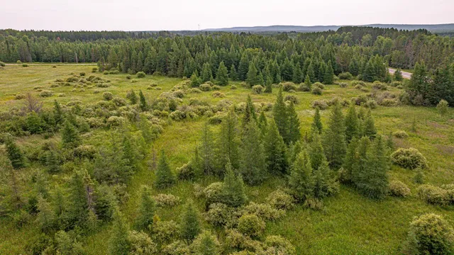 $59,900 | 21 Babbitt Mn 55706, Babbitt, MN 55706