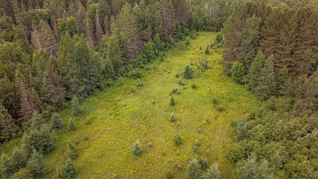 $59,900 | 21 Babbitt Mn 55706, Babbitt, MN 55706