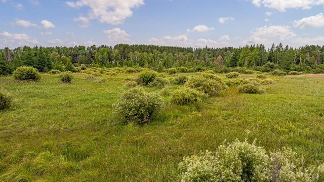 $59,900 | 21 Babbitt Mn 55706, Babbitt, MN 55706