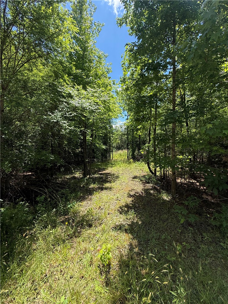 106 Fawn Drive Honea Path, SC 29654 - Photo 3 of 4 A tranquil pathway through verdant woods offers a serene escape to nature's embrace.