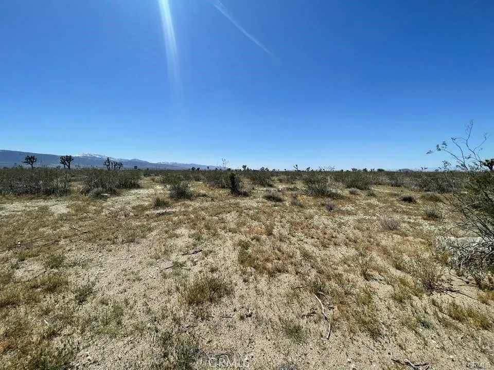 0 Dos Palmas Road Pinon Hills, CA 92372 - Photo 1 of 1