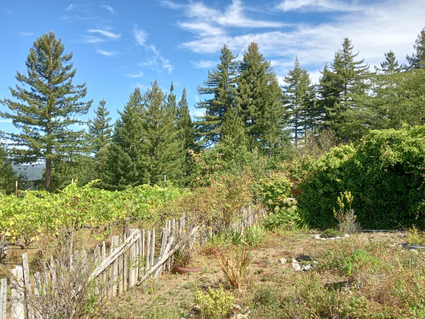 1580 Tindall Ranch Road Watsonville, CA 95076 - Photo 25 of 145 Gallery Image 25