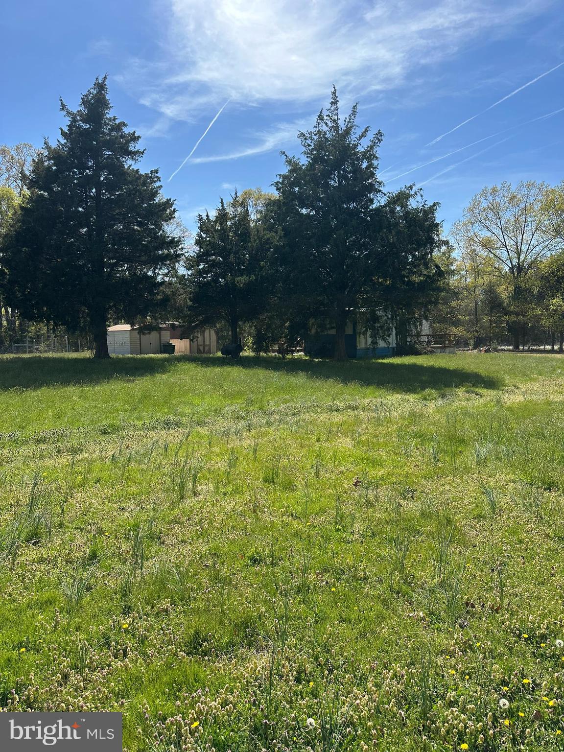 1483 Wilton Road Hague, VA 22469 - Photo 11 of 15 a view of a green yard