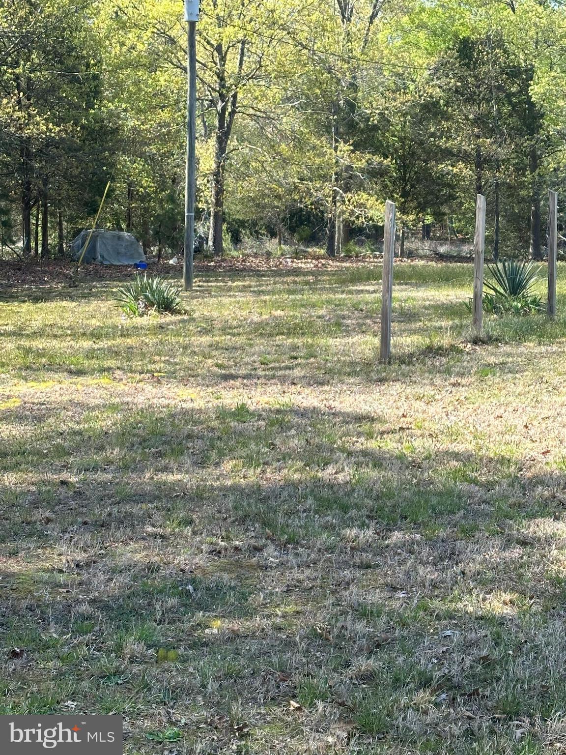 1483 Wilton Road Hague, VA 22469 - Photo 13 of 15 a view of a yard with swimming pool