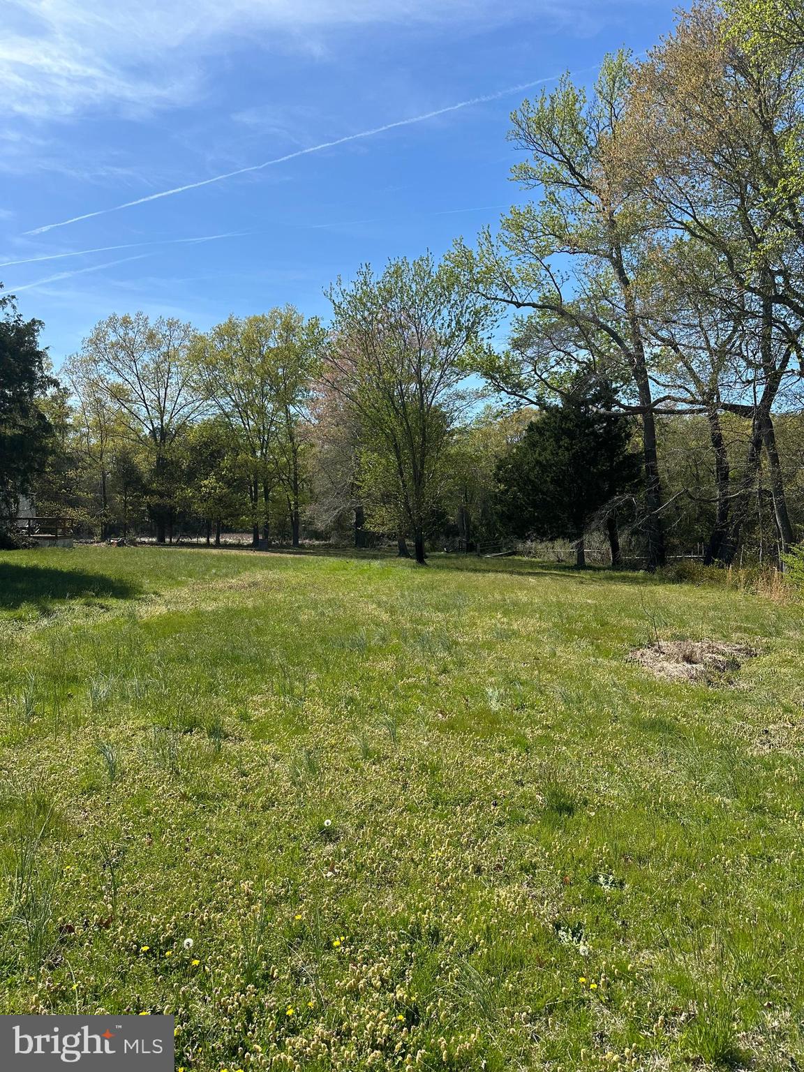 1483 Wilton Road Hague, VA 22469 - Photo 14 of 15 a view of a green field with trees in the background
