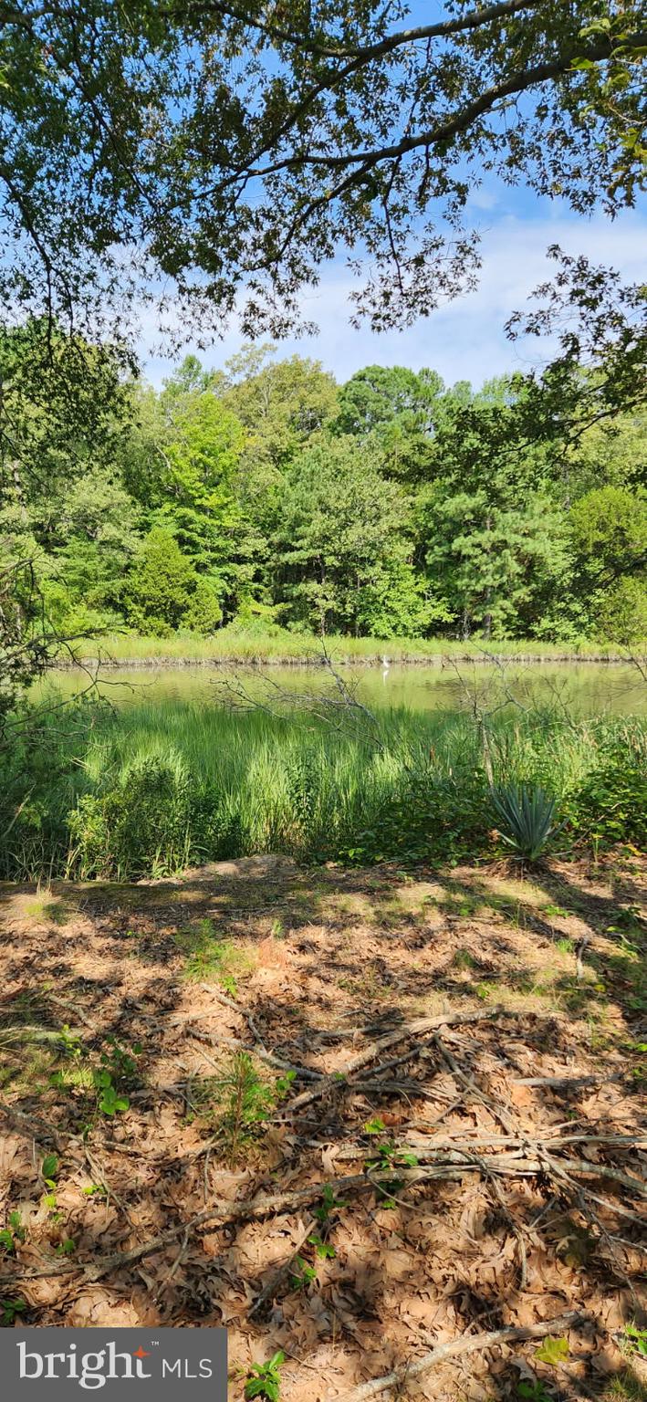 1483 Wilton Road Hague, VA 22469 - Photo 7 of 15 a view of a green field
