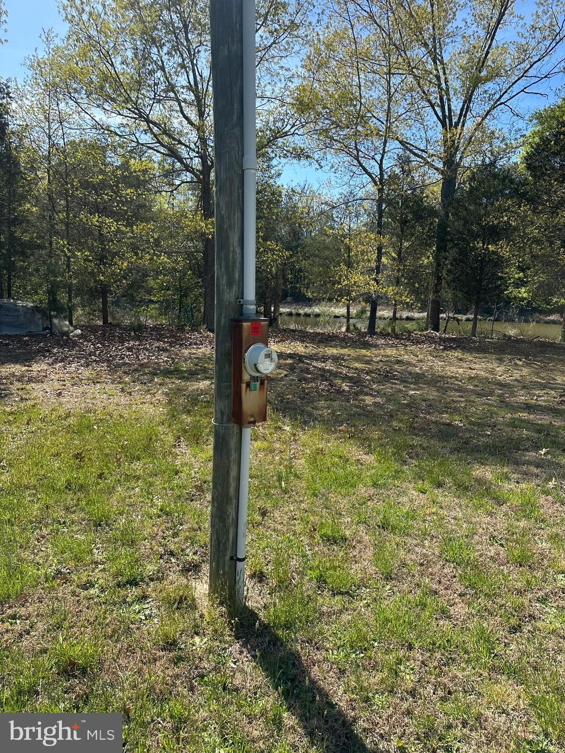 1483 Wilton Road Hague, VA 22469 - Photo 10 of 15 a view of a yard with trees