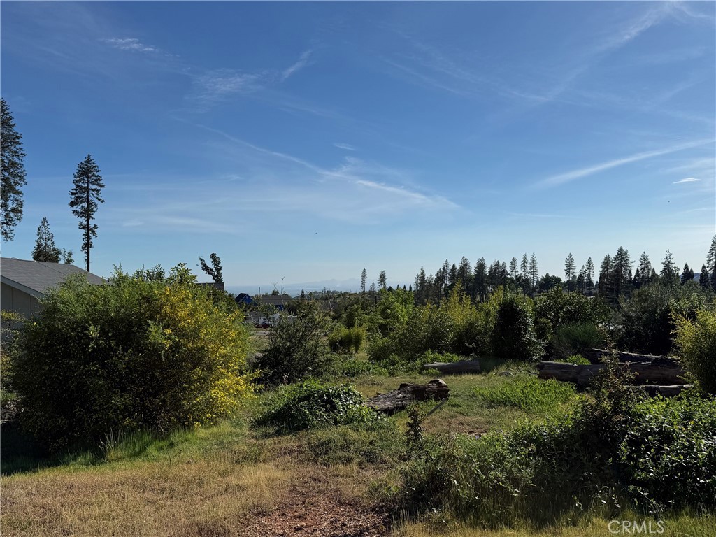 5701 Newland Road Paradise, CA 95969 - Photo 6 of 11 a view of a yard