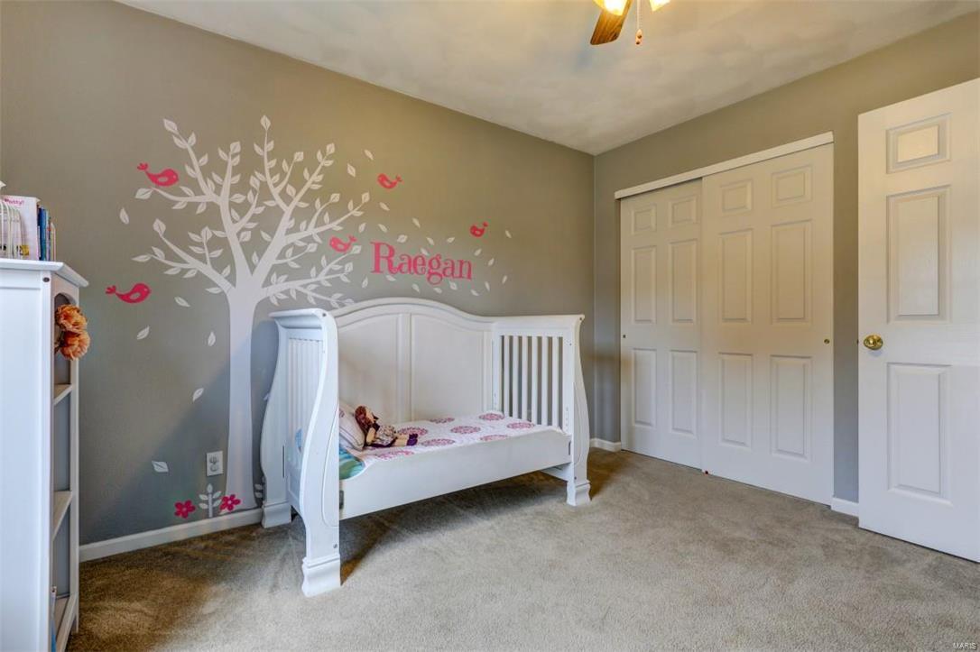 321 West Woodland Ridge Valmeyer, IL 62295 - Photo 29 of 41