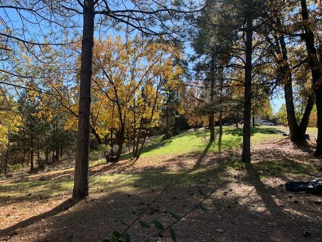 271 Sierra Madre Road Rail Road Flat, CA 95248 - Photo 11 of 57