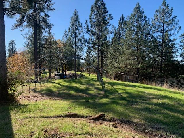 271 Sierra Madre Road Rail Road Flat, CA 95248 - Photo 13 of 57