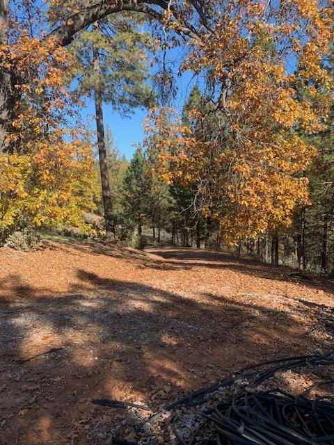 271 Sierra Madre Road Rail Road Flat, CA 95248 - Photo 17 of 57