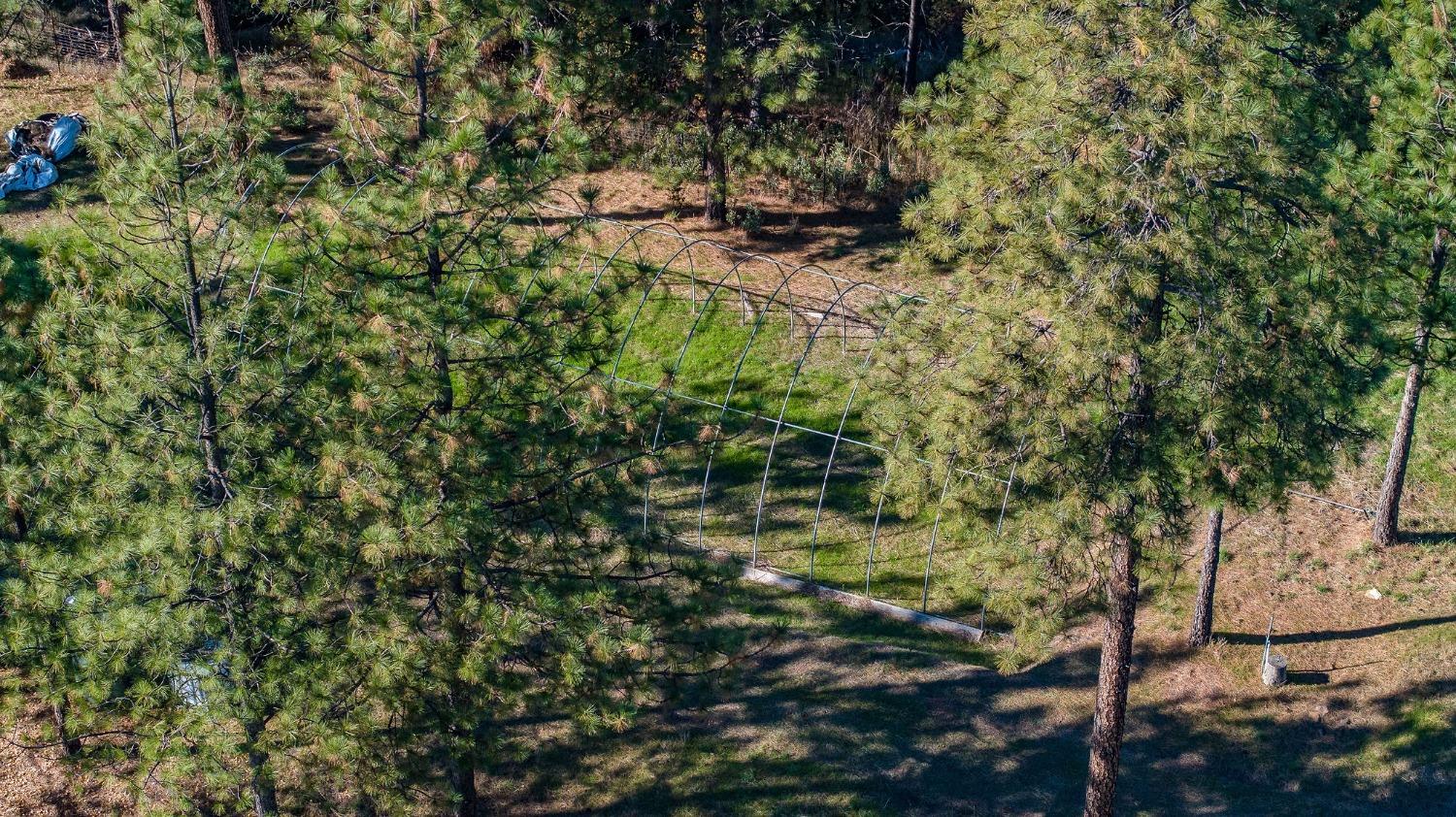 271 Sierra Madre Road Rail Road Flat, CA 95248 - Photo 28 of 57