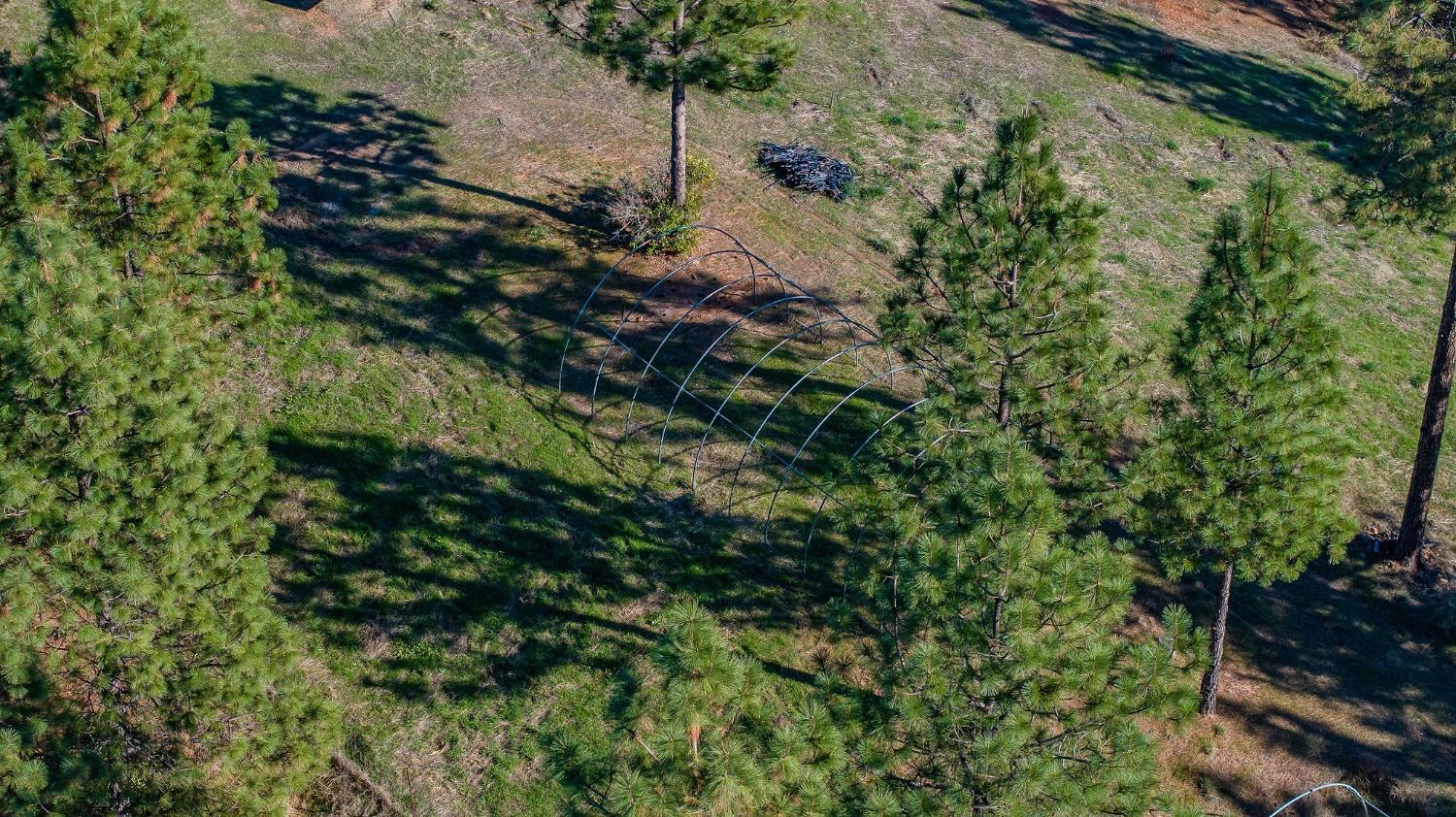 271 Sierra Madre Road Rail Road Flat, CA 95248 - Photo 30 of 57