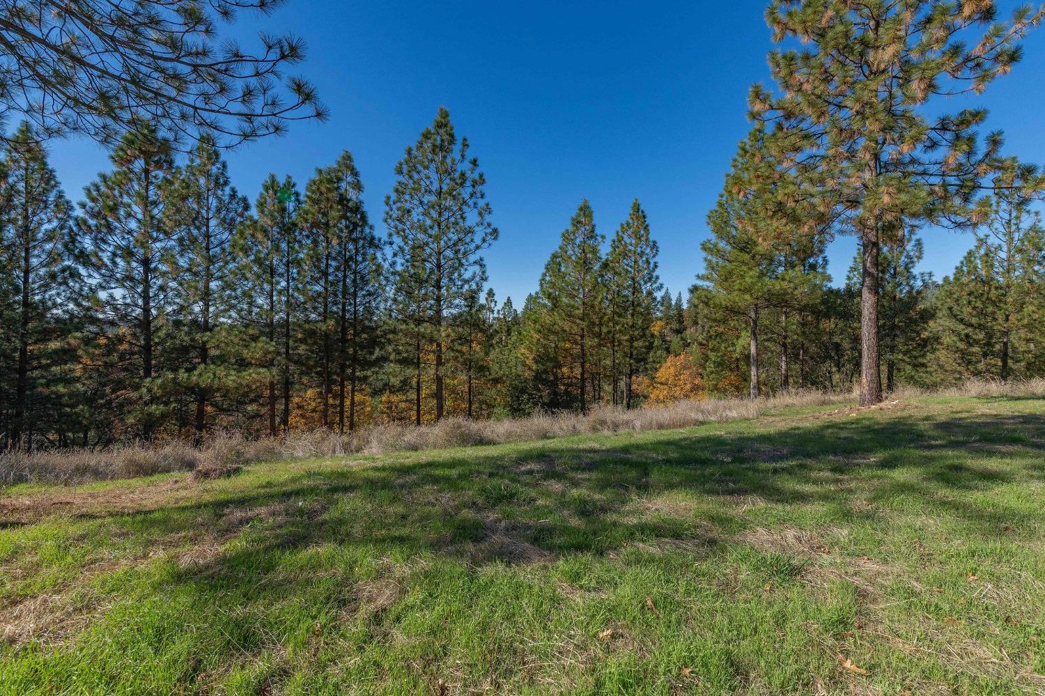 271 Sierra Madre Road Rail Road Flat, CA 95248 - Photo 3 of 57