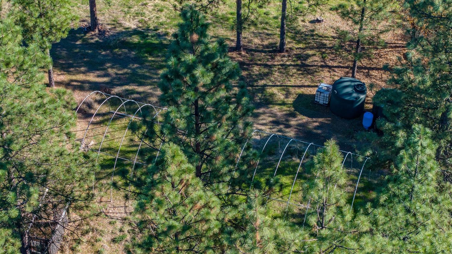 271 Sierra Madre Road Rail Road Flat, CA 95248 - Photo 31 of 57