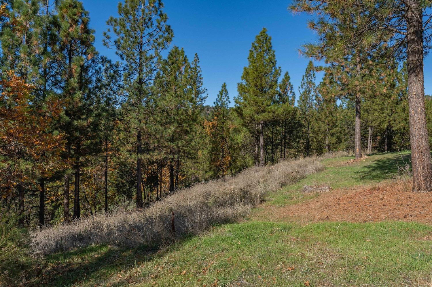 271 Sierra Madre Road Rail Road Flat, CA 95248 - Photo 34 of 57