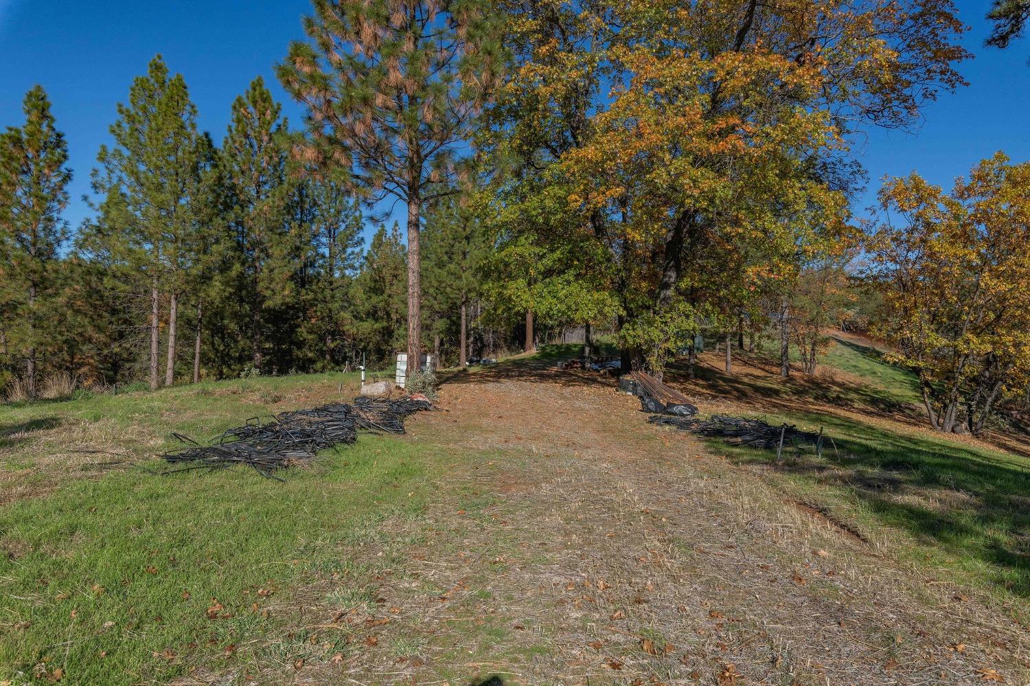 271 Sierra Madre Road Rail Road Flat, CA 95248 - Photo 35 of 57