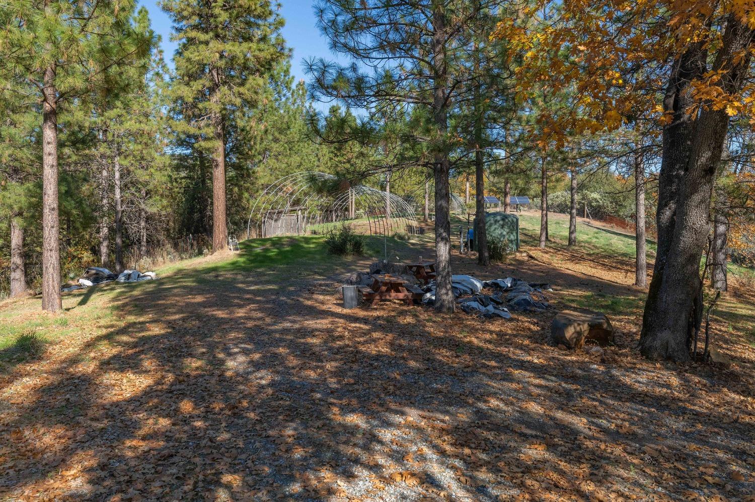 271 Sierra Madre Road Rail Road Flat, CA 95248 - Photo 36 of 57