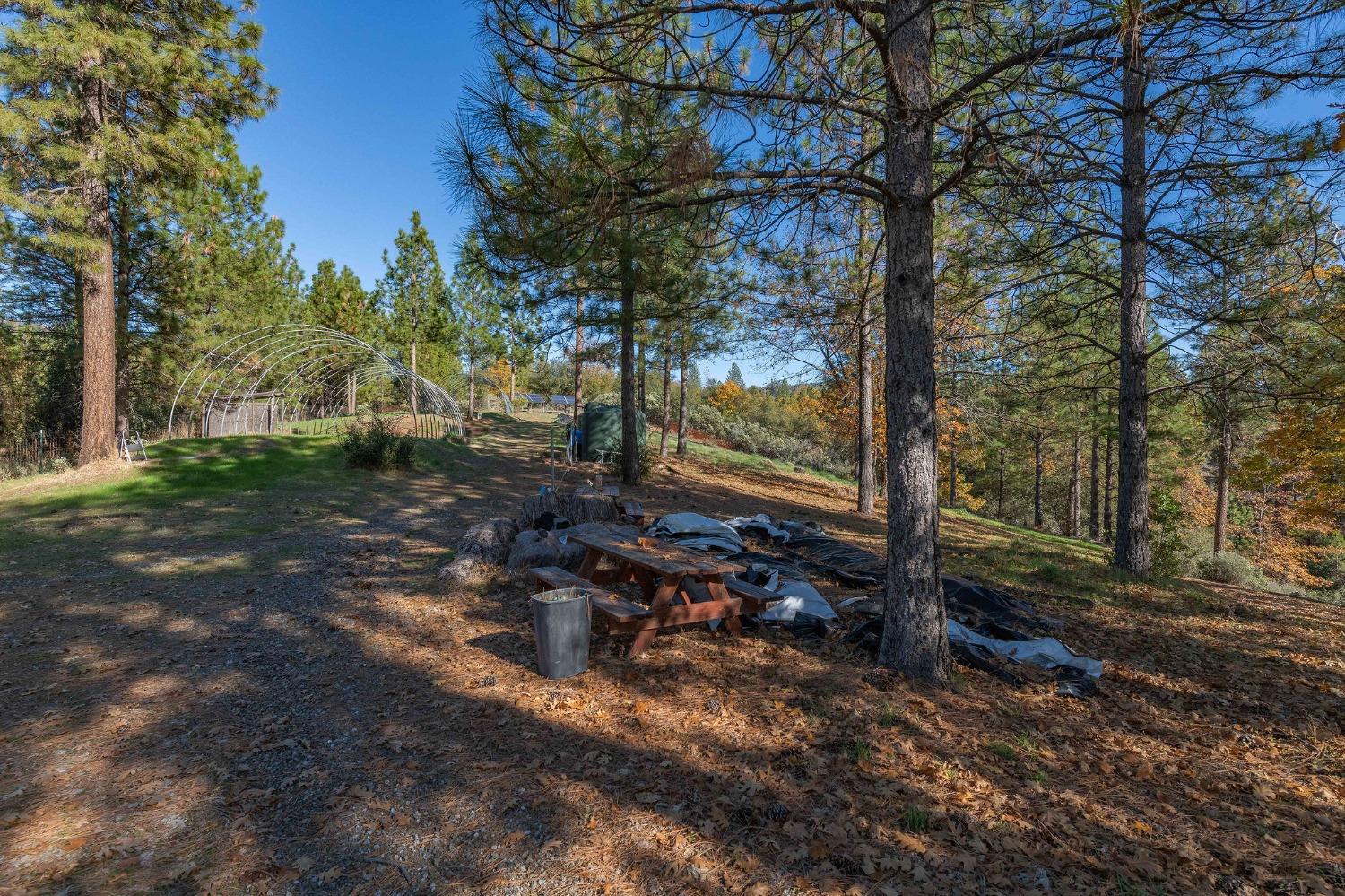 271 Sierra Madre Road Rail Road Flat, CA 95248 - Photo 37 of 57