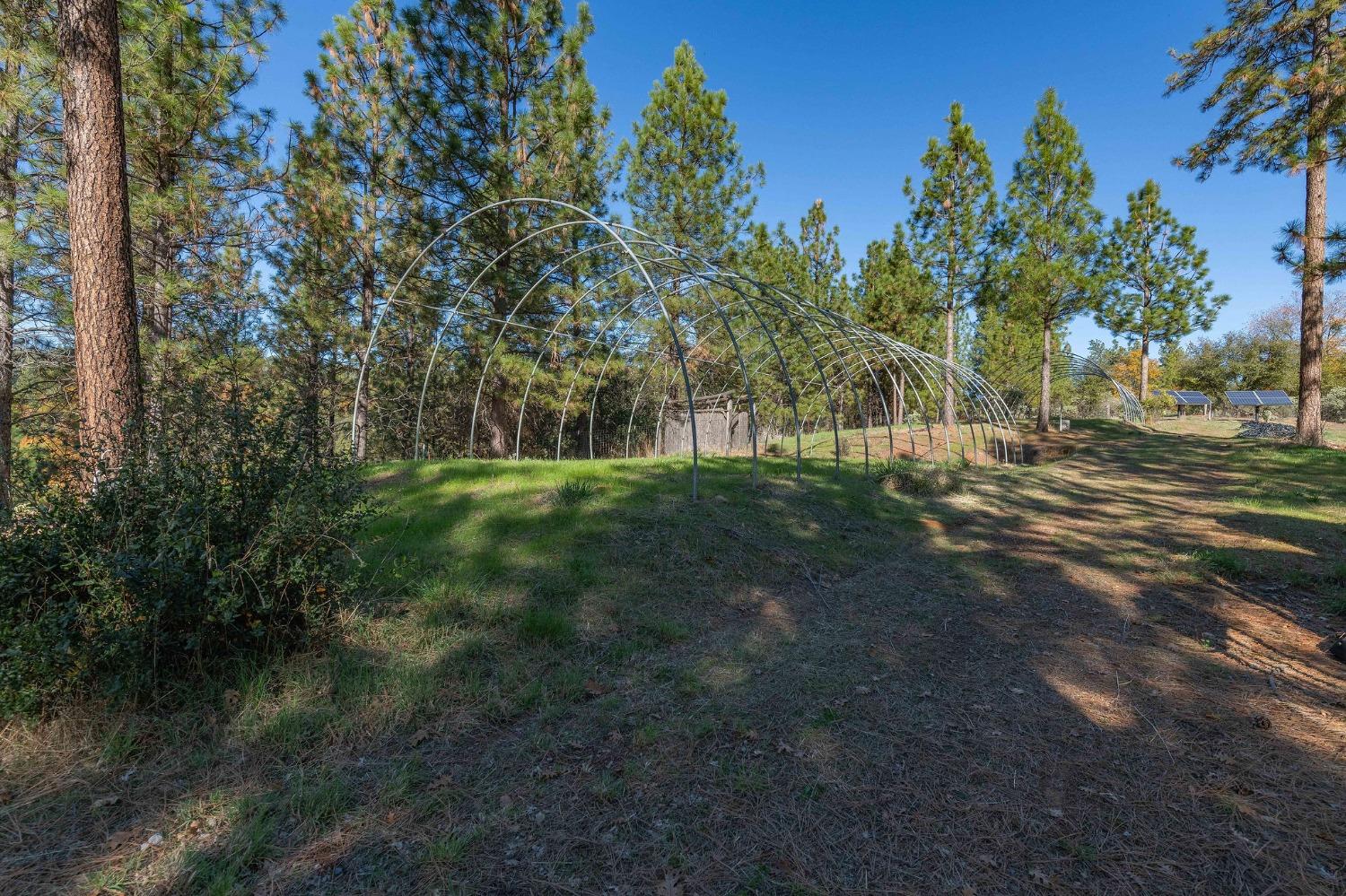 271 Sierra Madre Road Rail Road Flat, CA 95248 - Photo 38 of 57