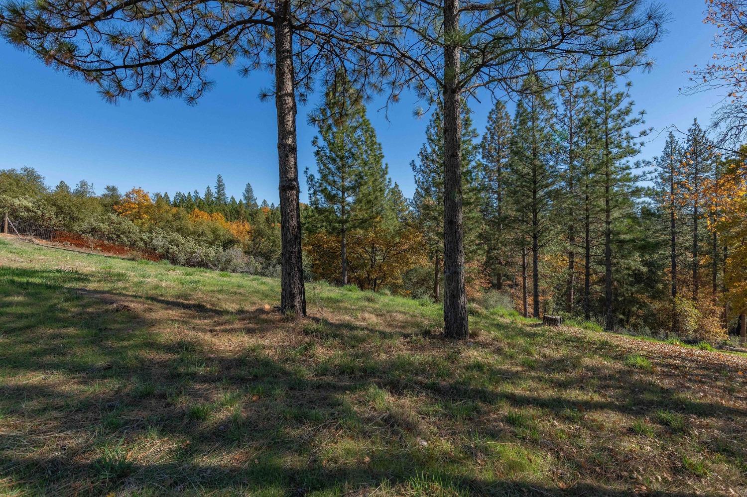 271 Sierra Madre Road Rail Road Flat, CA 95248 - Photo 39 of 57