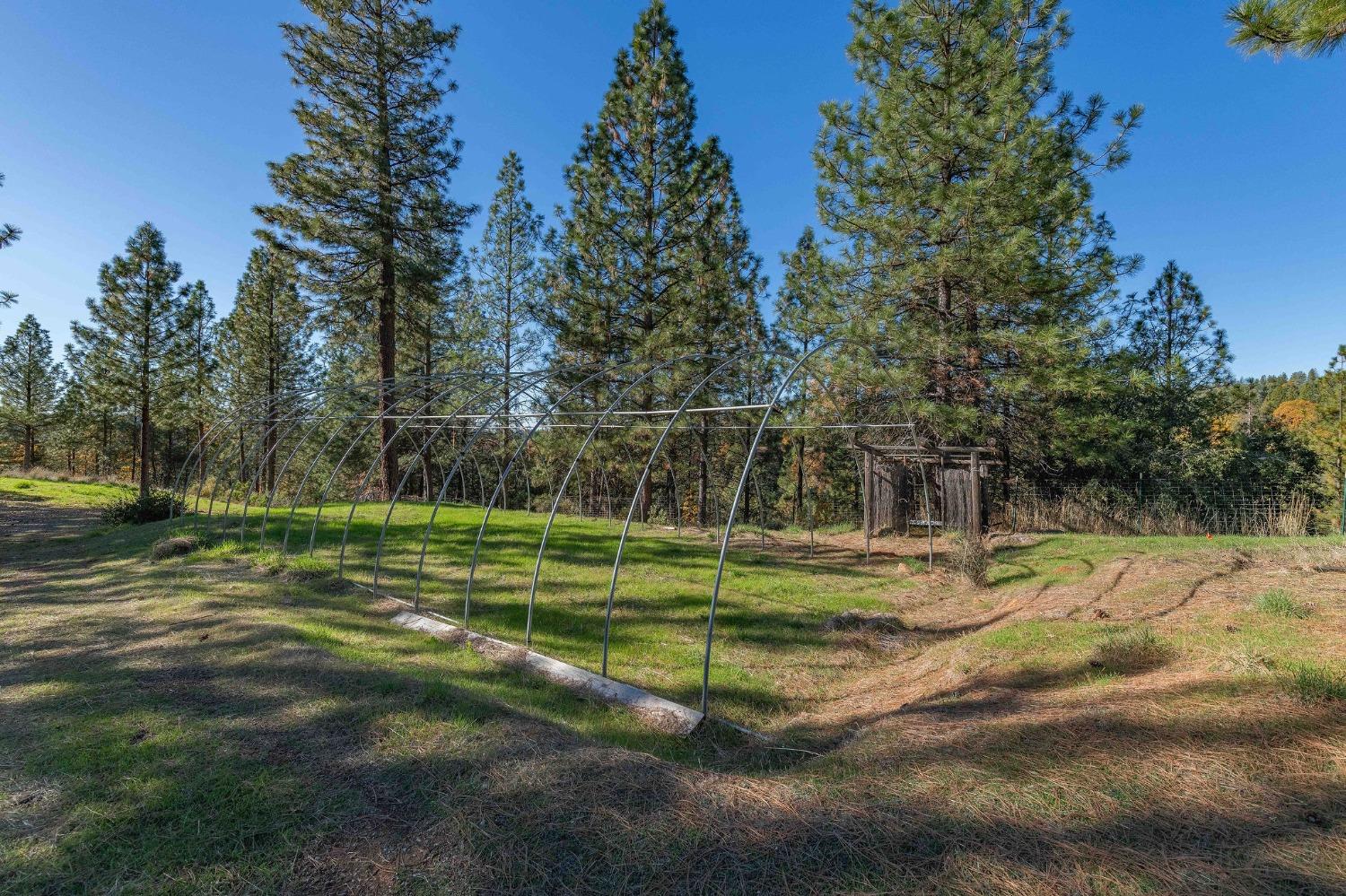 271 Sierra Madre Road Rail Road Flat, CA 95248 - Photo 40 of 57